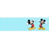 Bigliettino Nascita Topolino Celeste