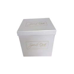 Lampada Special Gifts JB2/S